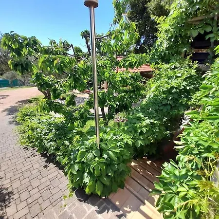 Nedjeljko 公寓 Čunski