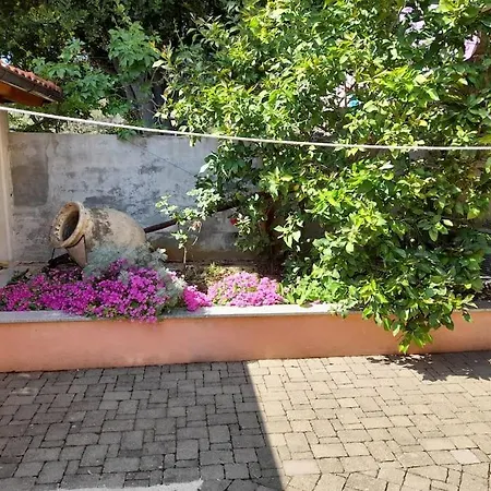 公寓 Nedjeljko Čunski